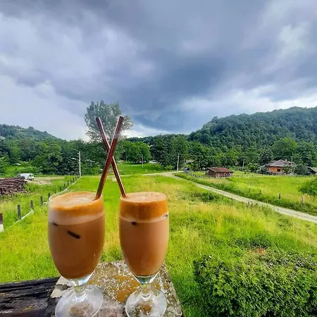 Cherry Gradac فاليفو