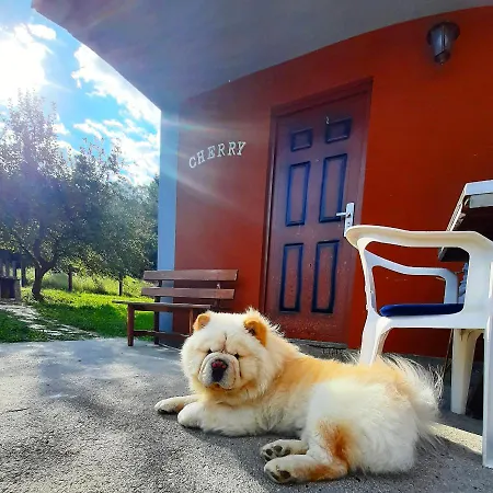 Cherry Gradac Holiday home Valjevo