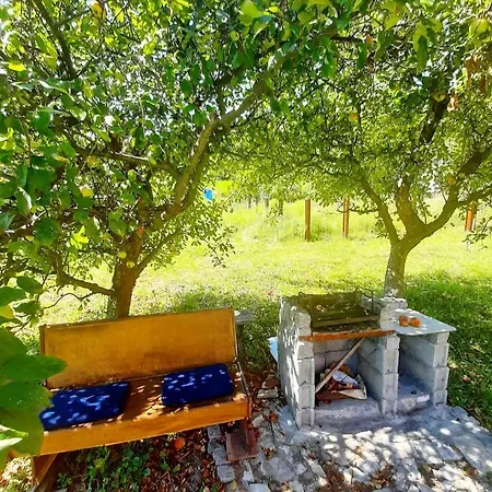 Cherry Gradac Holiday home