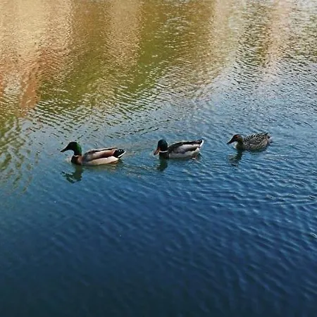 بيت للعطل Cherry Gradac فاليفو