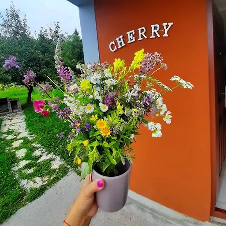 Cherry Gradac Holiday home
