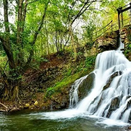 Cherry Gradac * فاليفو