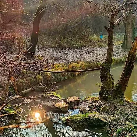 Cherry Gradac * فاليفو