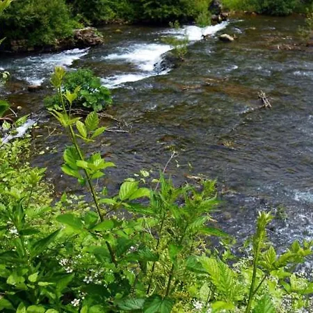 Cherry Gradac * فاليفو