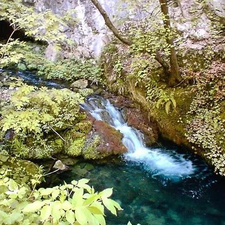 بيت للعطل Cherry Gradac