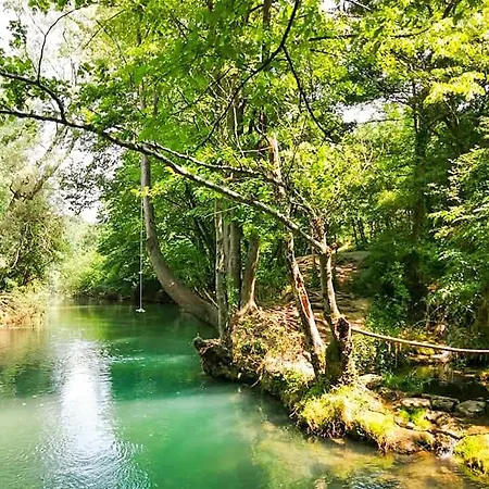 Cherry Gradac * Valjevo