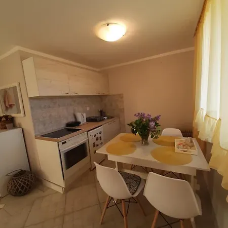 Cherry Gradac بيت للعطل *