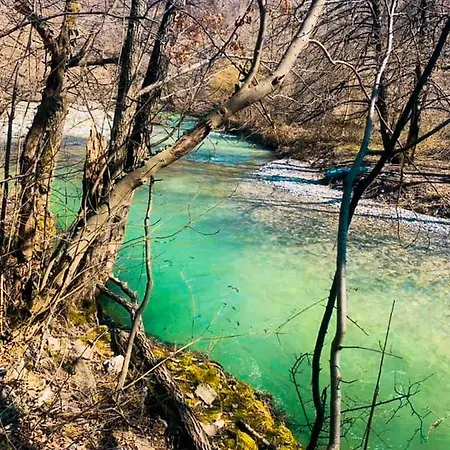 بيت للعطل Cherry Gradac