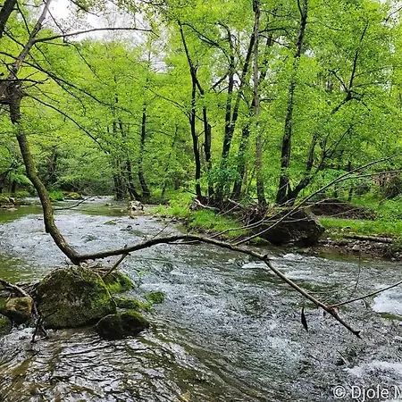 Cherry Gradac Holiday home Valjevo