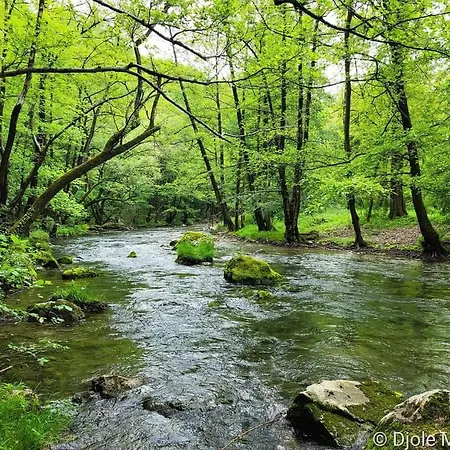 Cherry Gradac بيت للعطل
