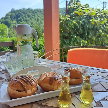 Cherry Gradac Holiday home Valjevo
