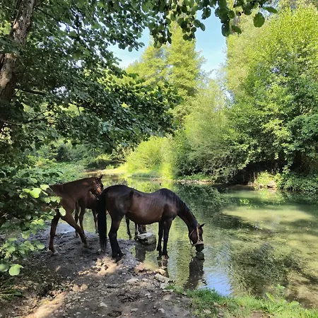 بيت للعطل Cherry Gradac