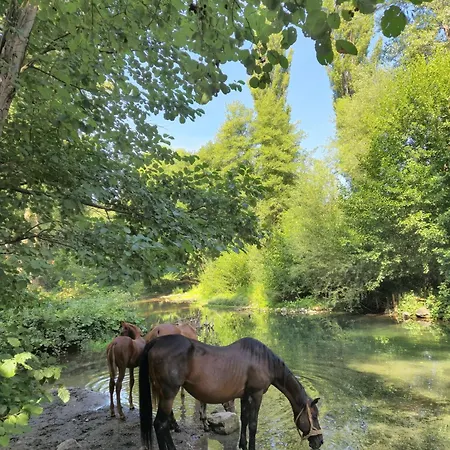 بيت للعطل Cherry Gradac