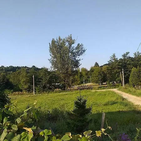 Holiday home Cherry Gradac