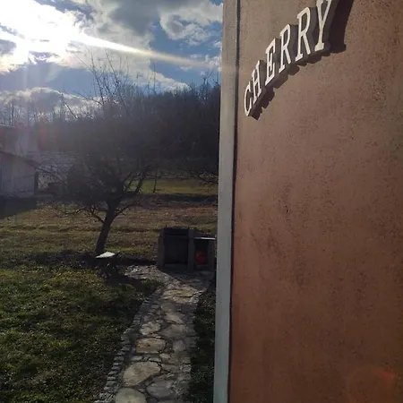 Cherry Gradac بيت للعطل *